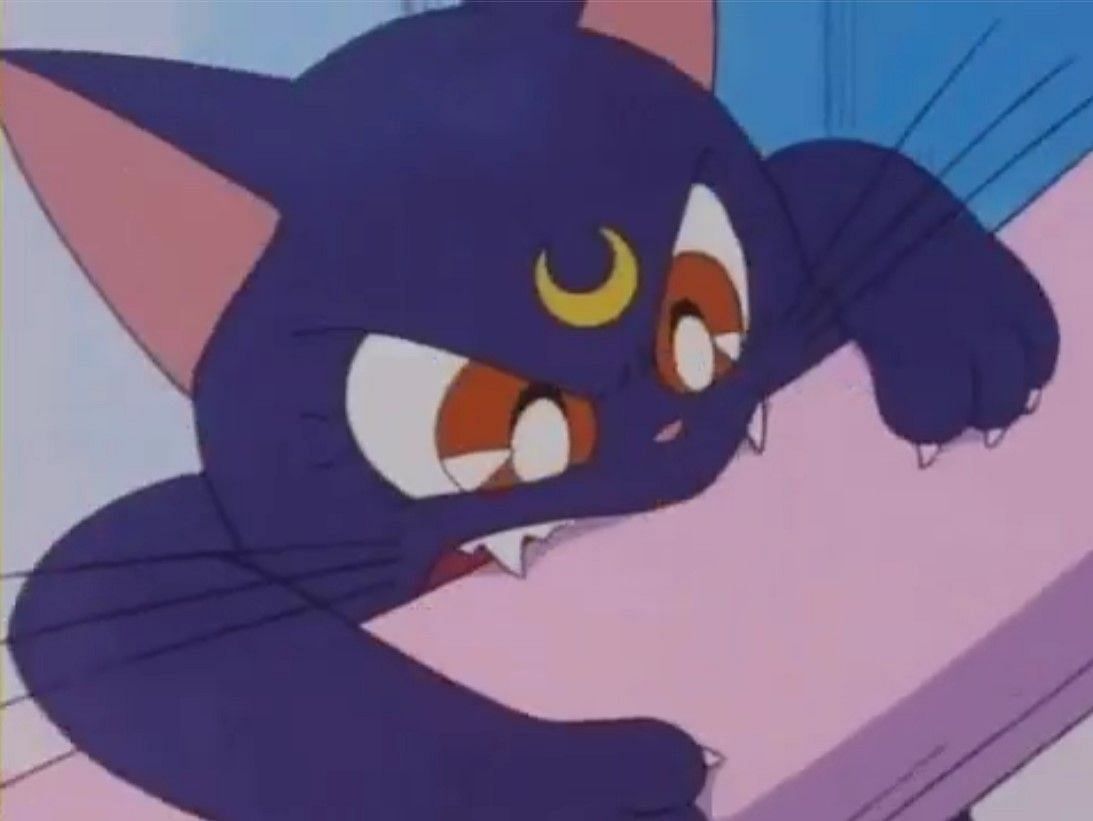 Luna is a guardian in Sailor Moon (Image via Sailor Moon)