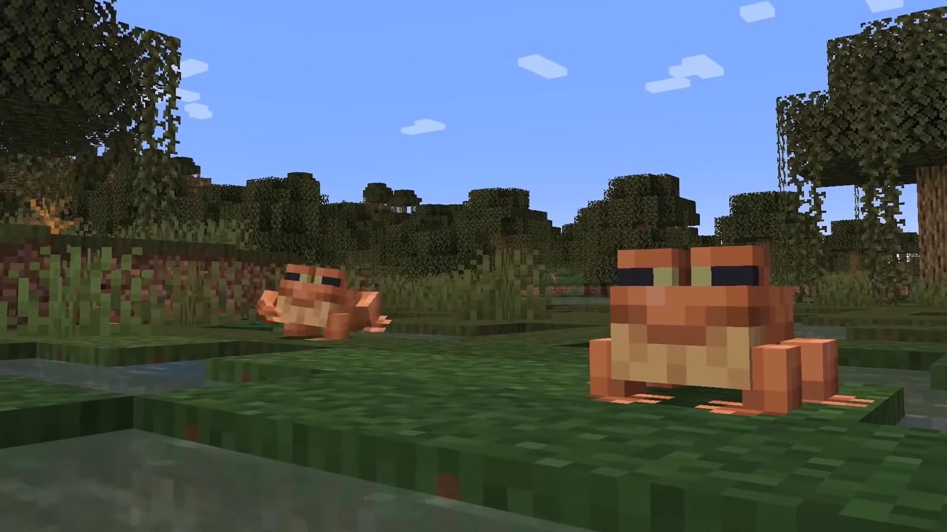 Frogs will be making their Minecraft debut in The Wild Update (Image via Mojang)