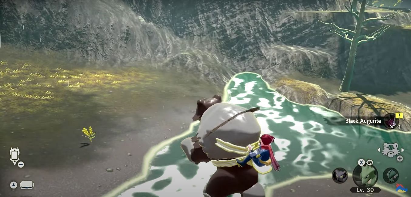 Trainers can ride on Ursaluna to find Black Augurite (Image via Game Freak)