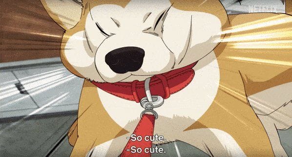 Best Funniest Animes Of All Time