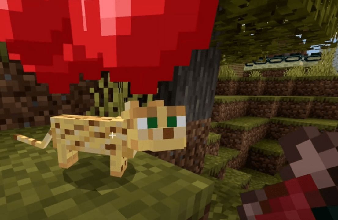 Cats and ocelots love raw fish, but that&#039;s not the only use of these items (Image via Mojang)