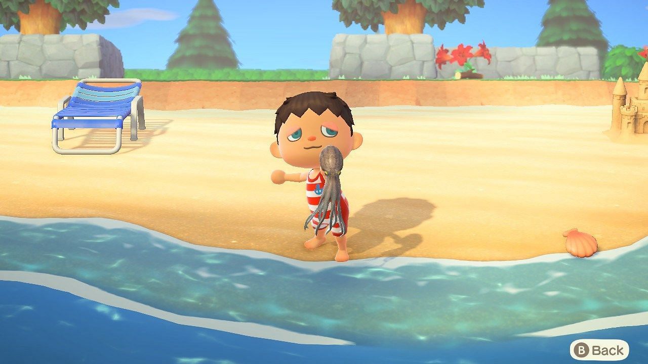 List of sea creatures arriving and leaving Animal Crossing in February (Image via Nintendo)