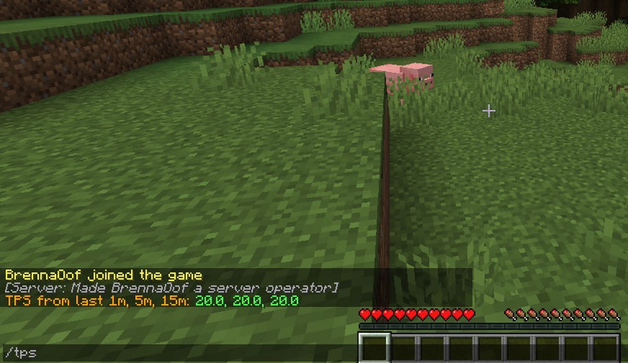 A server&#039;s TPS or ticks per second readout displayed on-screen (Image via Mojang)