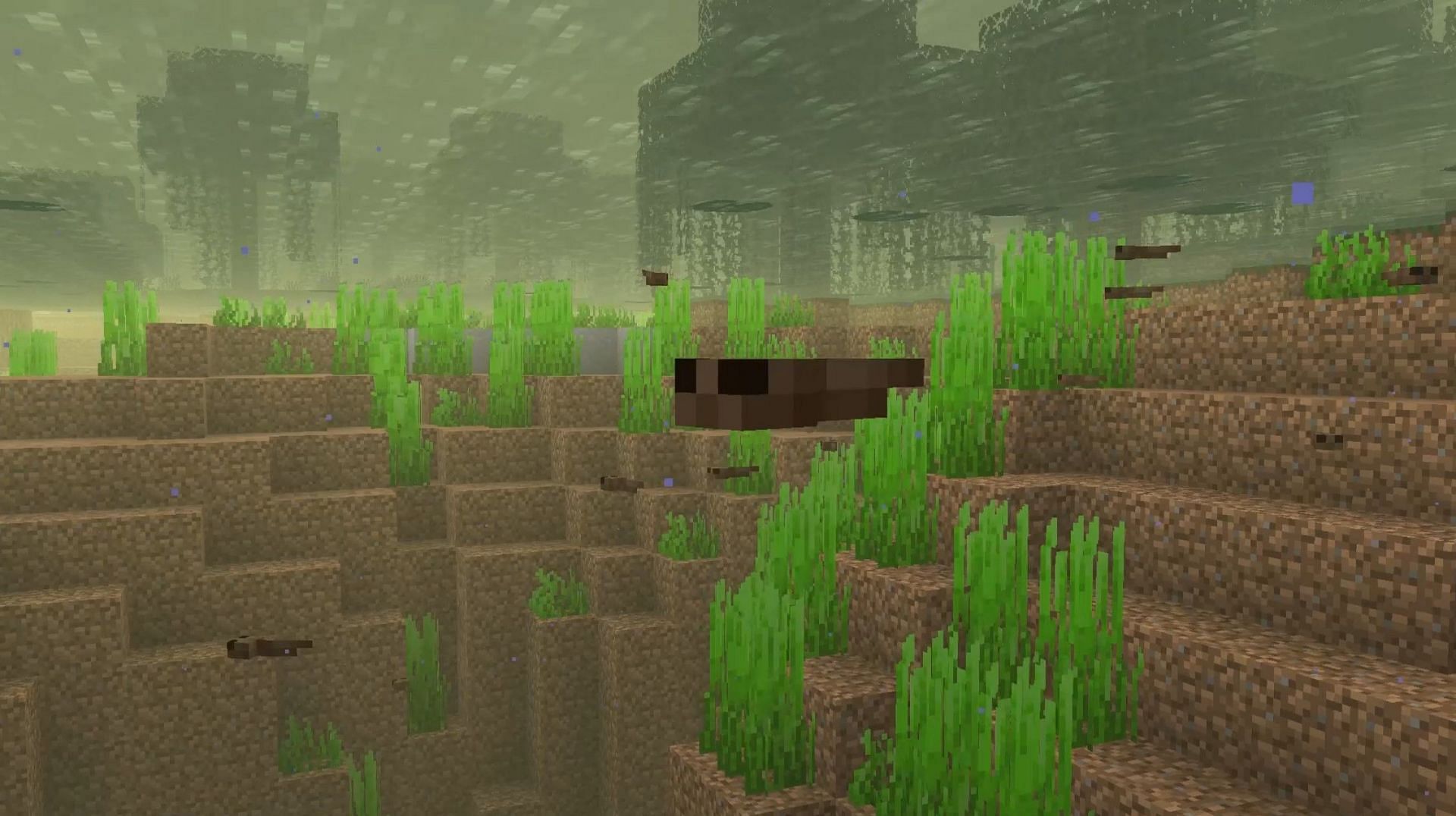 Tadpoles enjoy a swim through a swamp biome&#039;s waters (Image via Mojang)