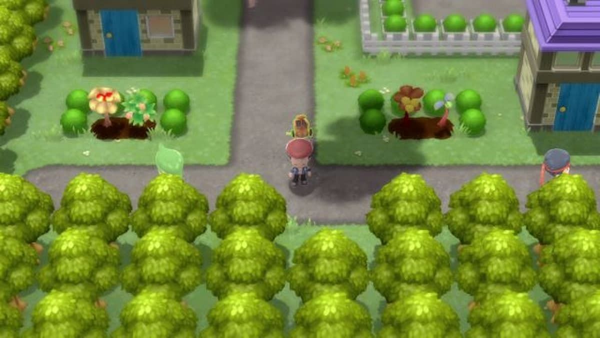 A trainer near the homes in the Resort Area (Image via ILCA)