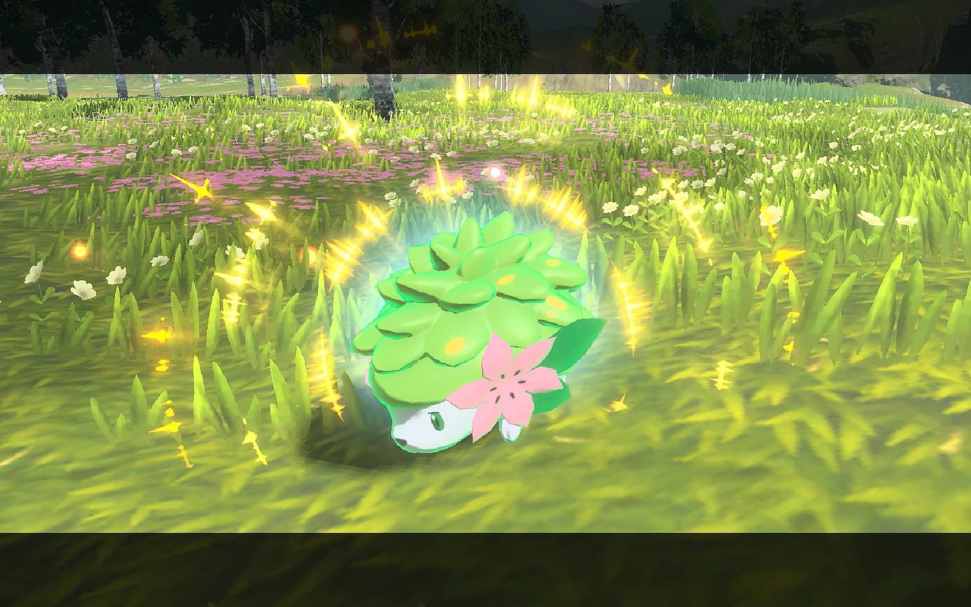 Here's where to find & catch Shaymin in Pokemon Legends: Arceus 