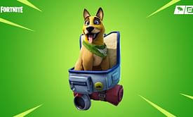 The forgotten Fortnite back bling that was priced at 1000 V-Bucks