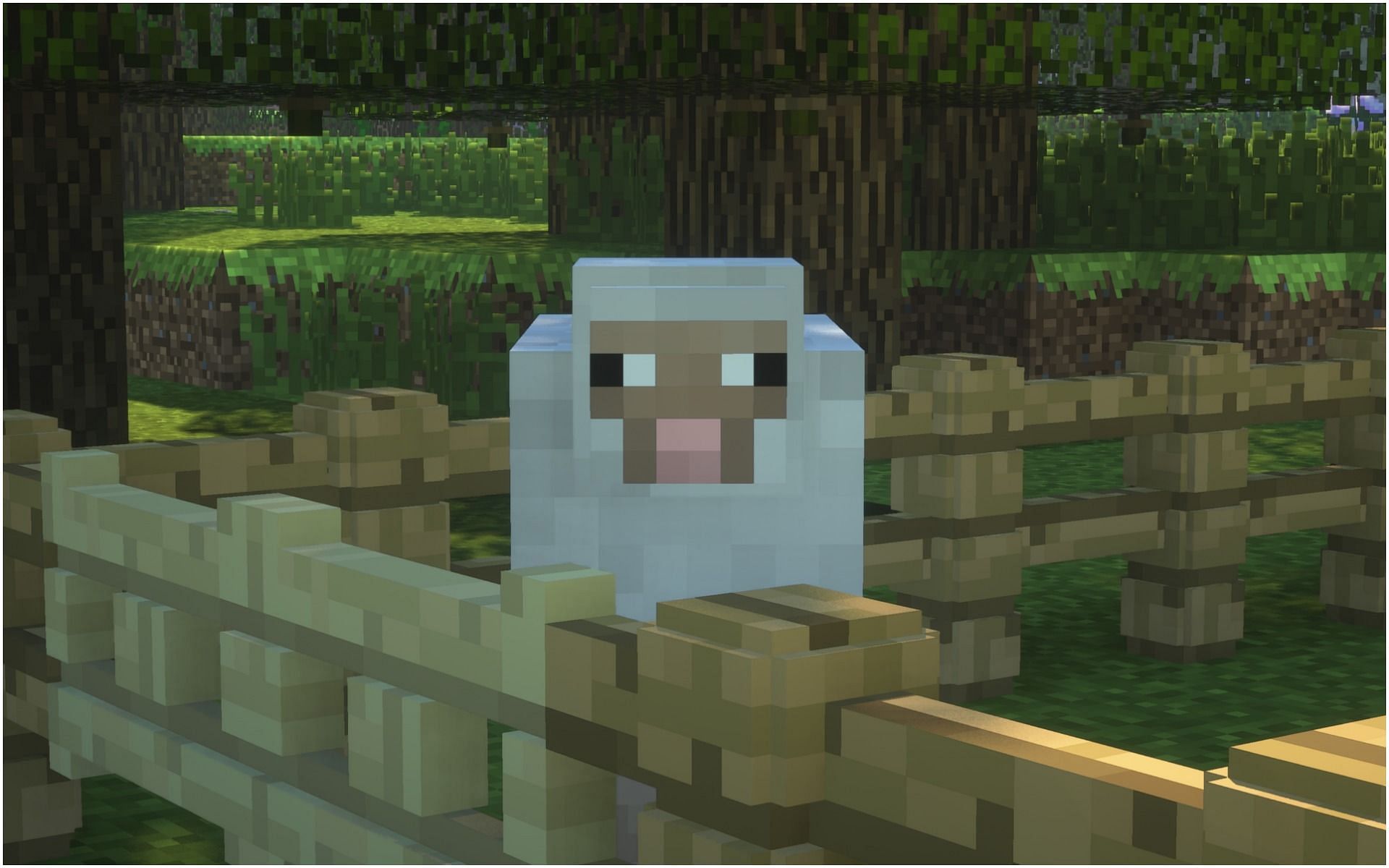 A sheep enclosed inside a fence (Image via WallaperAbyss/Minecraft)