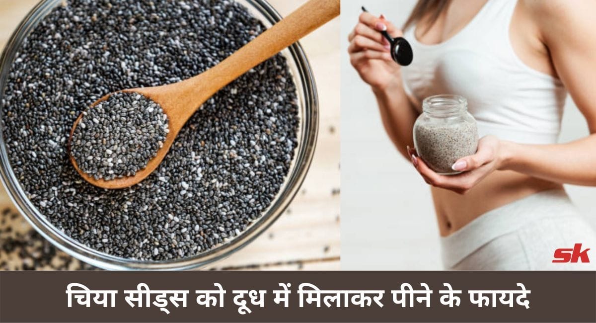 चिया सीड्स को दूध में मिलाकर पीने के फायदेChia Seeds Ko Dudh Me Milakar Pine Ke Fayde In Hindi