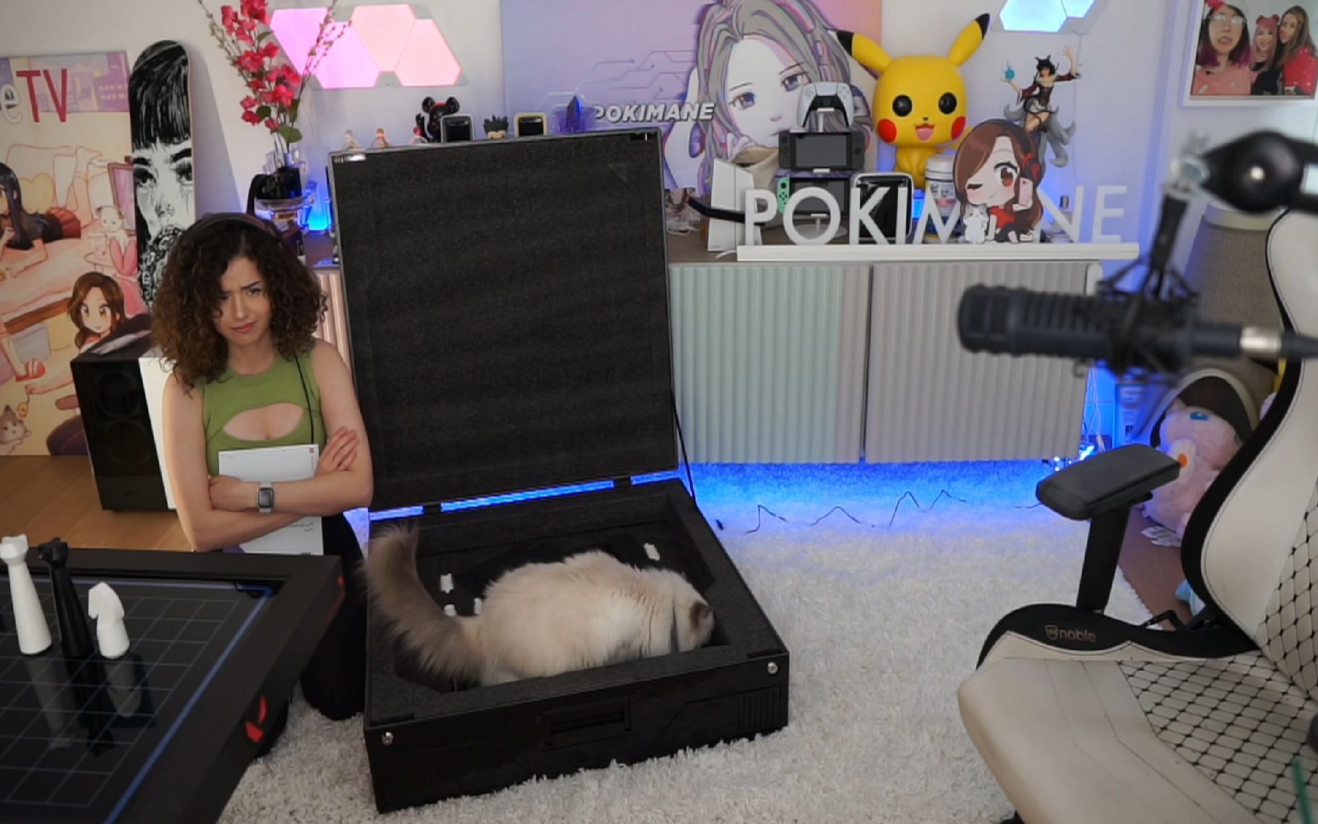 Pokimane&#039;s cat Mimi steals the show as the streamer unboxes goodies (Images via Pokimane/Twitch)