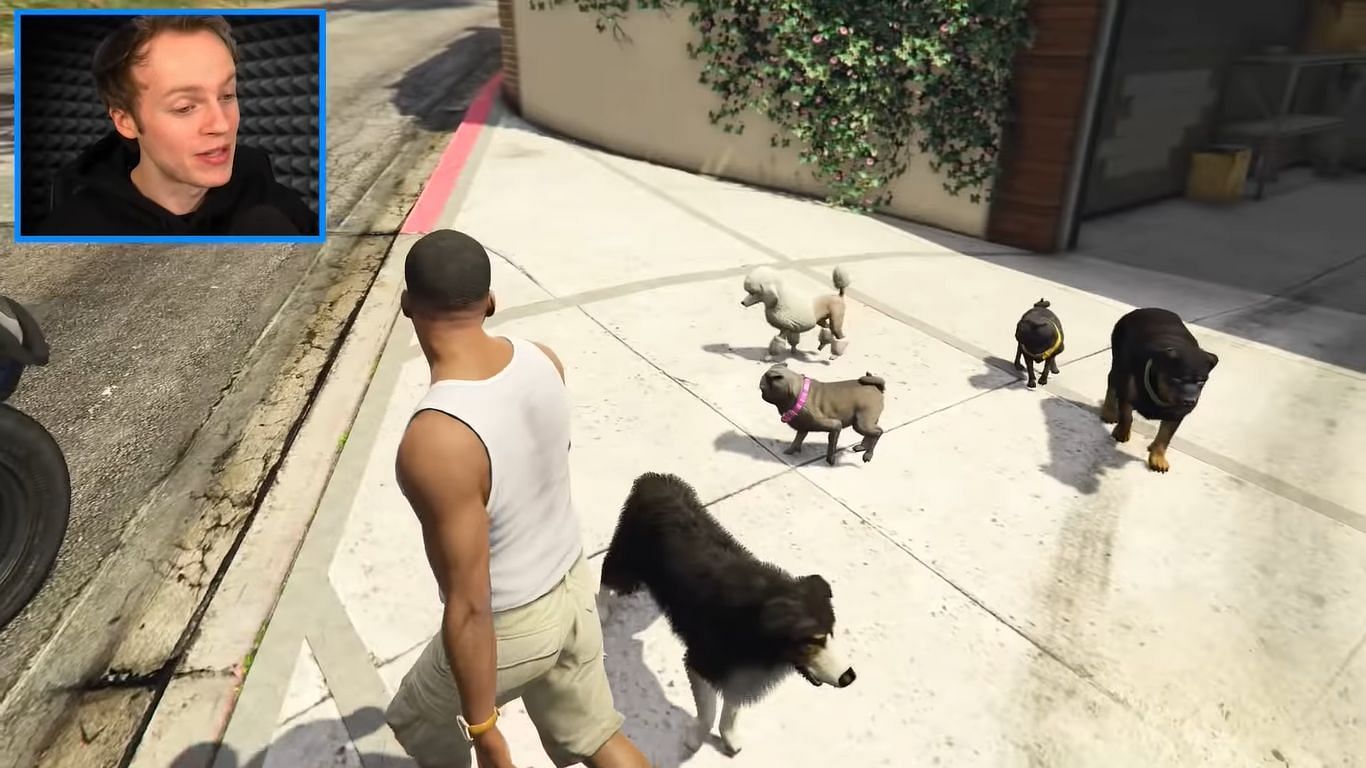 Chop has some new friends in GTA 5 (Image via YouTube @Nought)