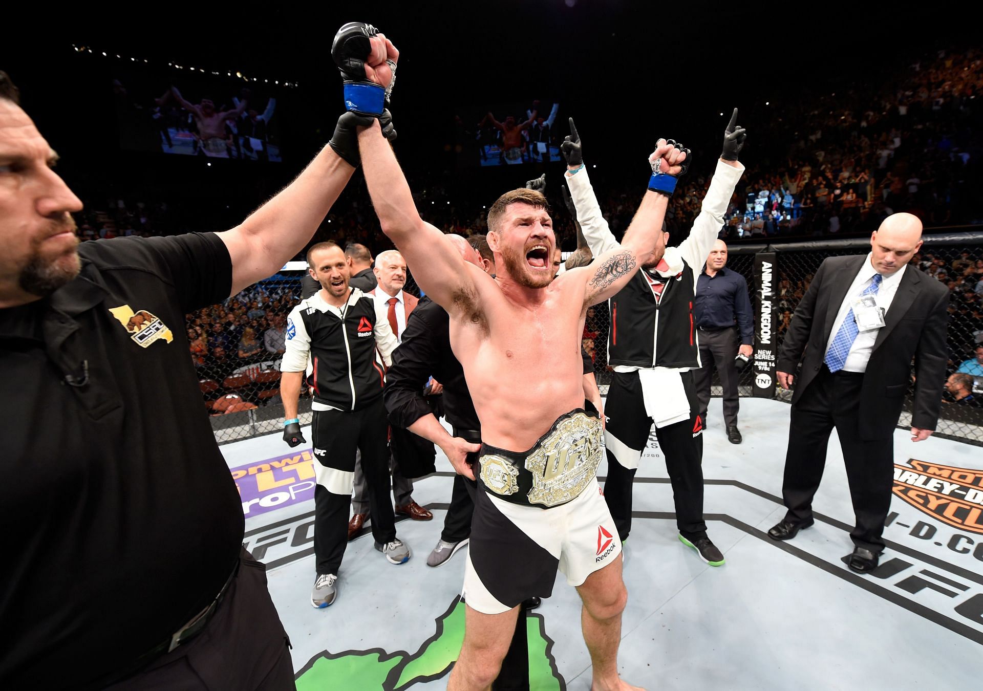 UFC fans were happy when Michael Bisping claimed middleweight gold, but his title reign itself didn&#039;t go down so well