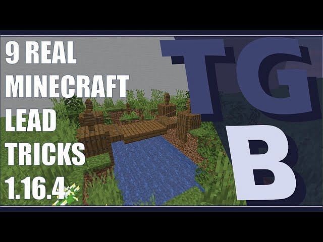 How To Use Leads On Mobs And Animals In Minecraft