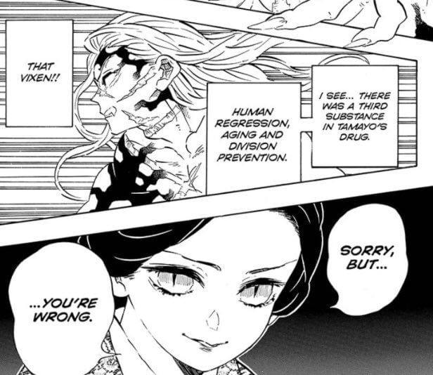 Demon Slayer Does Kagaya Ubuyashiki's sacrifice impact the final fight