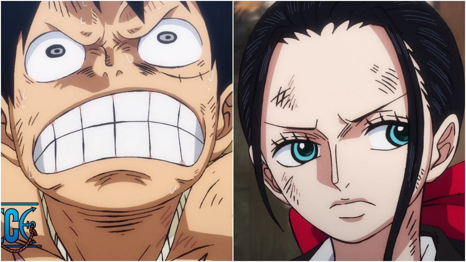 Who would win in a fight, Yamato (One Piece) or King (One piece