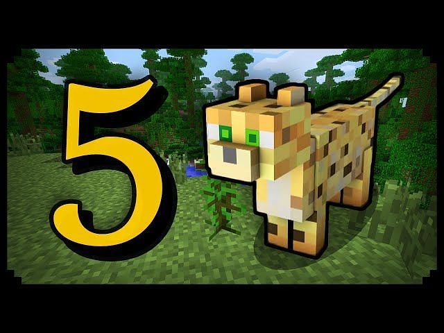 how-to-breed-ocelots-in-minecraft