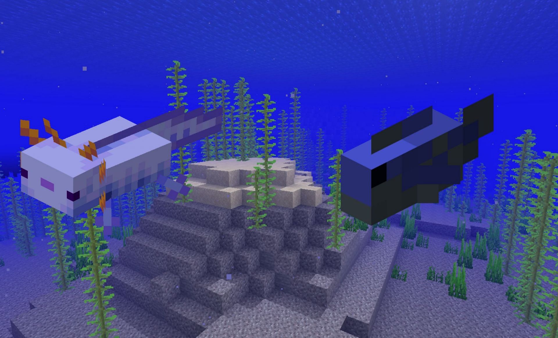 Aquatic mobs (Image via Minecraft )