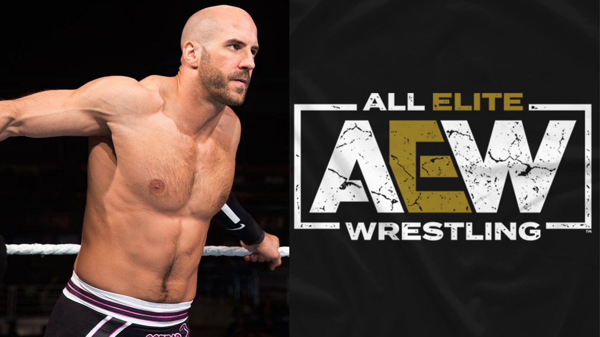Could AEW sign former WWE superstar Cesaro?