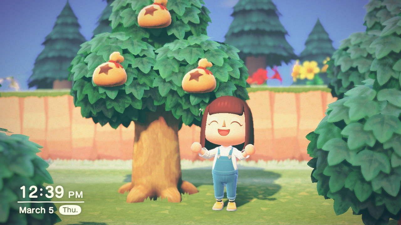 Trade Animal Crossing New Horizons Items