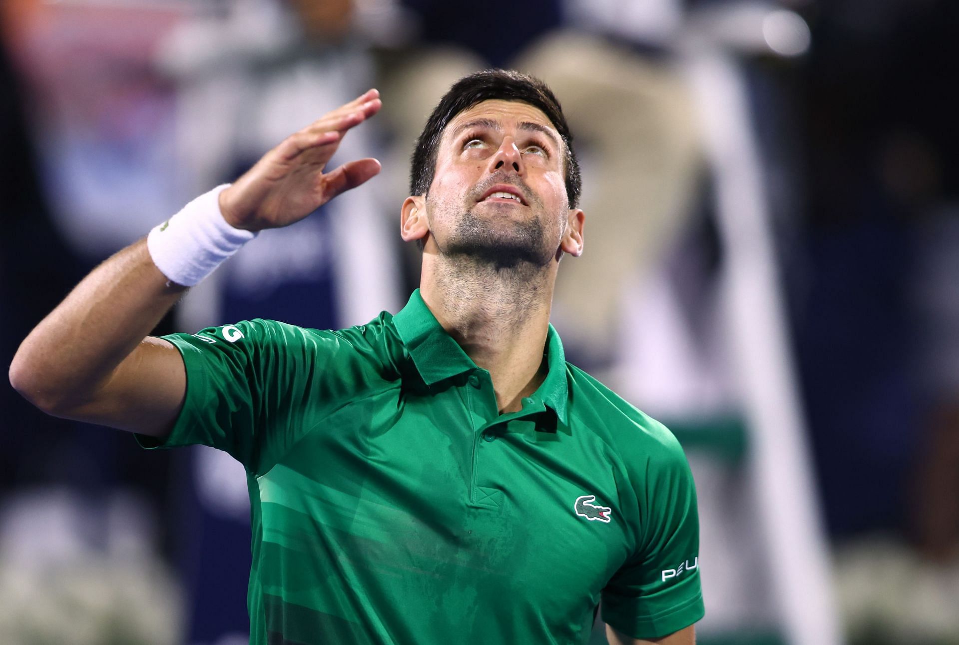 Novak Djokovic was clear that made use of no special provisions for entering Australia