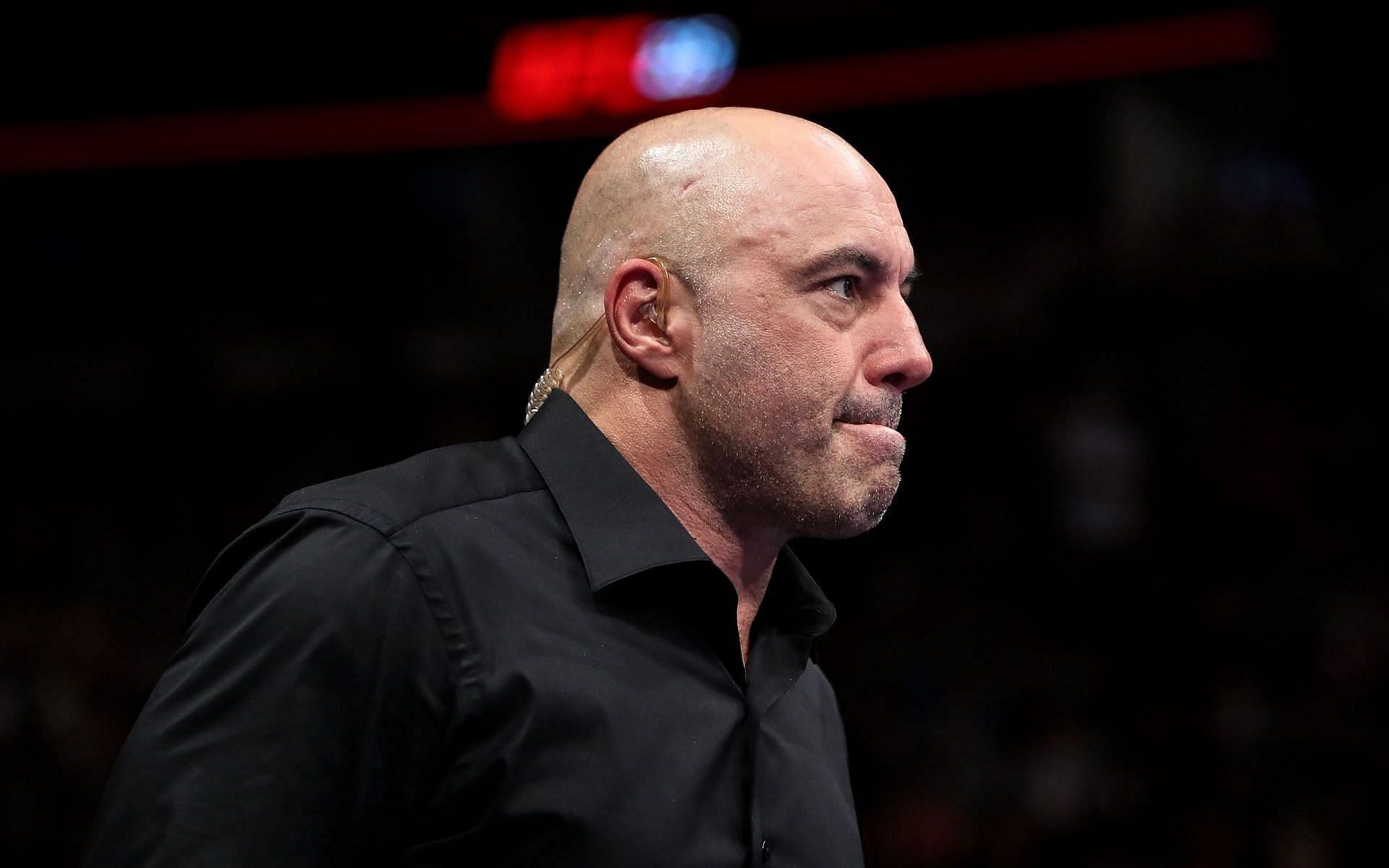 UFC commentator Joe Rogan [center]