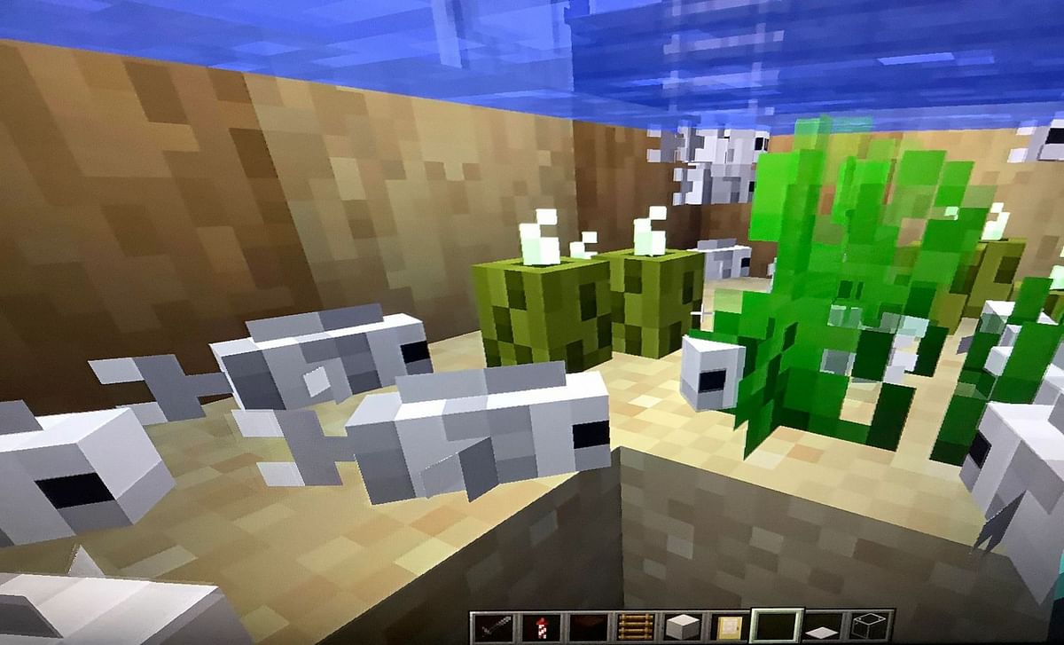 Top 3 rarest fishes in Minecraft