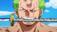 Zoro's fight versus King during the Wano arc is one of One Piece's best (Image via Toei Animation)