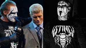 Sting sends a heartfelt message to Cody Rhodes following AEW departure