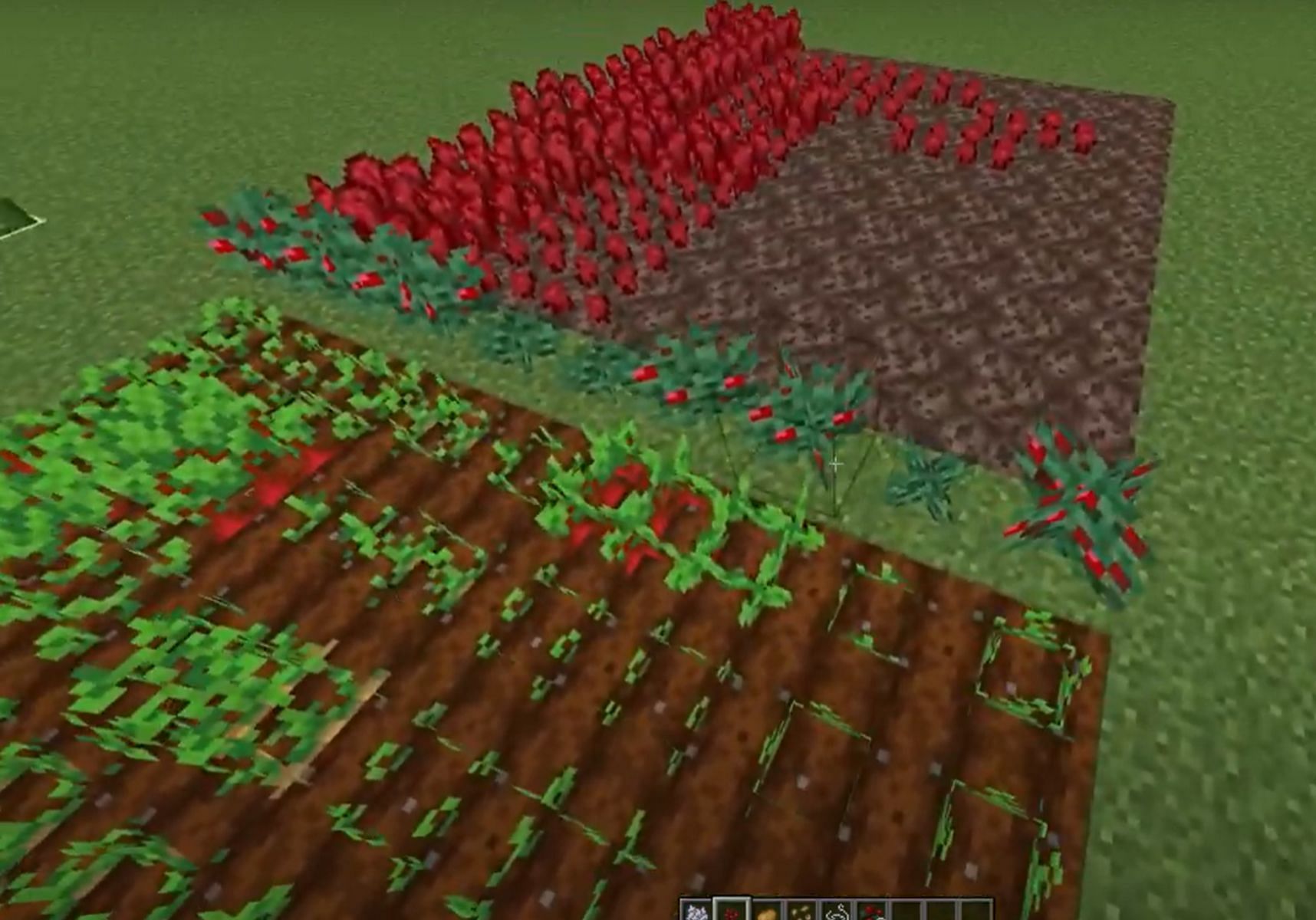 Brenduh&#039;s texture and resource pack improve visual assistance for harvesting (Image via Mojang)