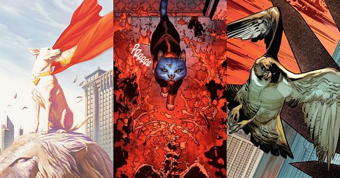 Top 5 comic book pets