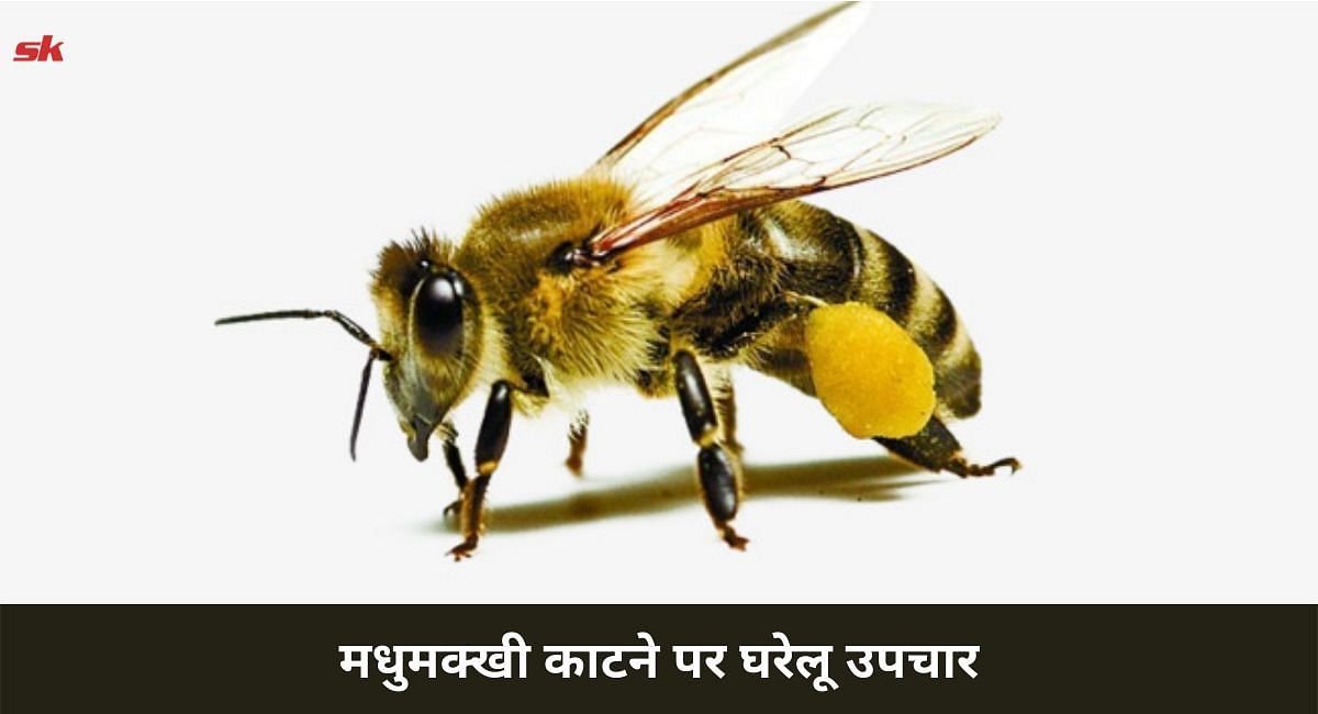 मधुमक्खी काटने पर अपनाएं ये घरेलू उपचार