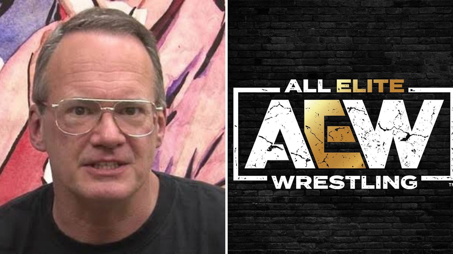 The wrestling veteran is a vocal critic of AEW.