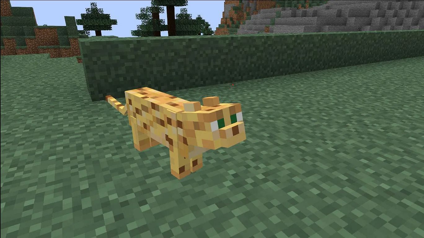 An Ocelot (Image via Mojang)