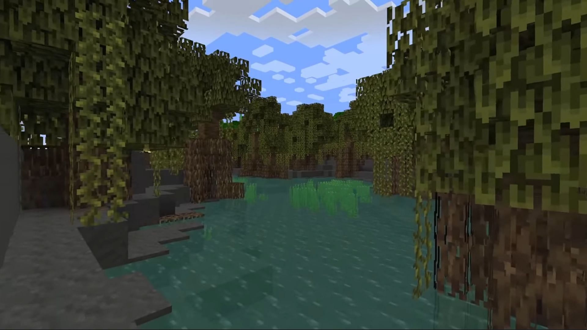 Densely populated mangrove trees with vines and roots (Image via Mojang)