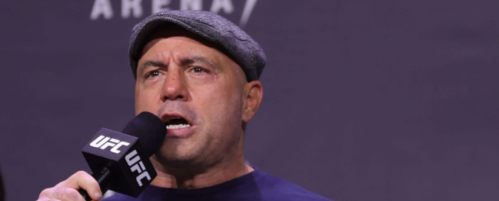 Joe Rogan's comments about Angelina Jolie resurface online