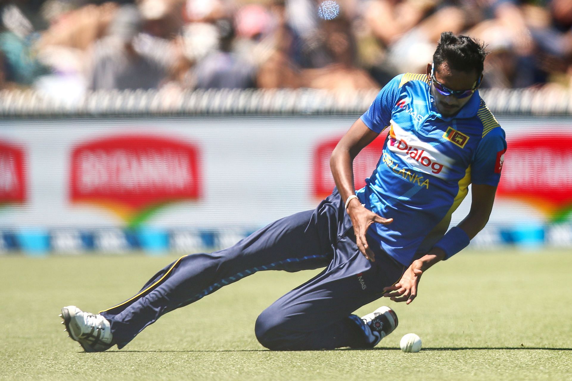 Dushmantha Chameera can be a threat with his pace and bounce.