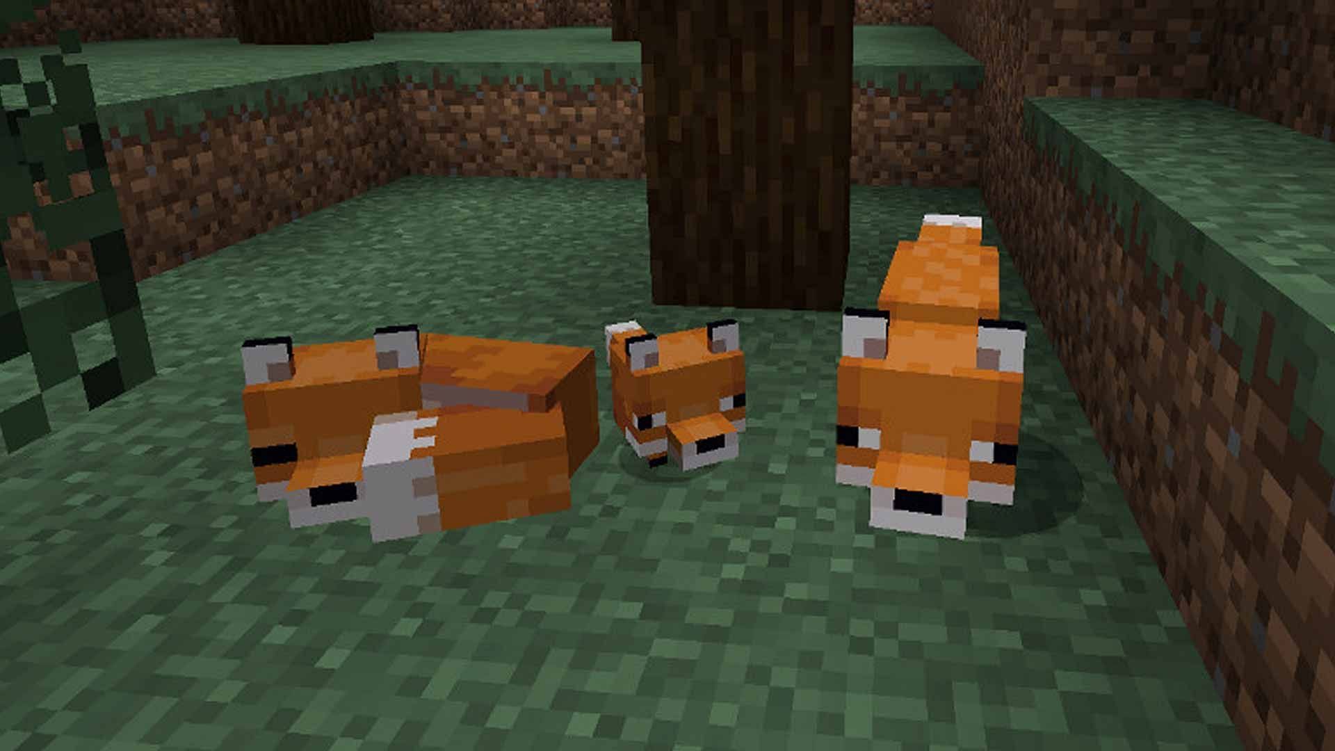 Breeding two foxes will result in a baby fox (Image via Mojang)