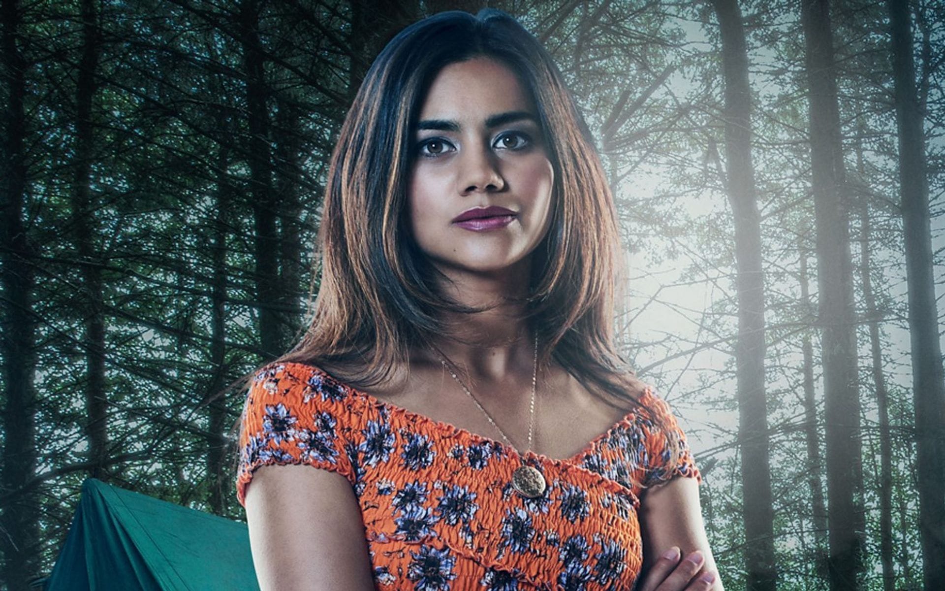 Lisa hayley ambalavanar