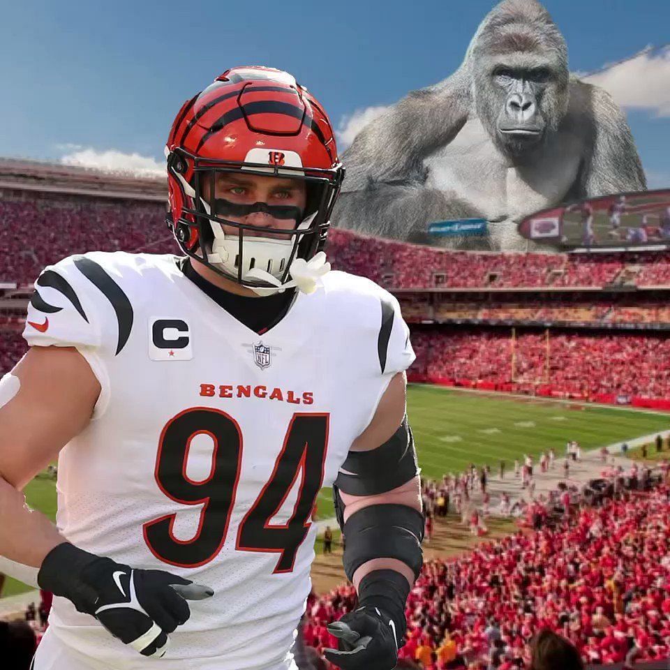 The Bengals are motivated by Harambe to win the Super Bowl