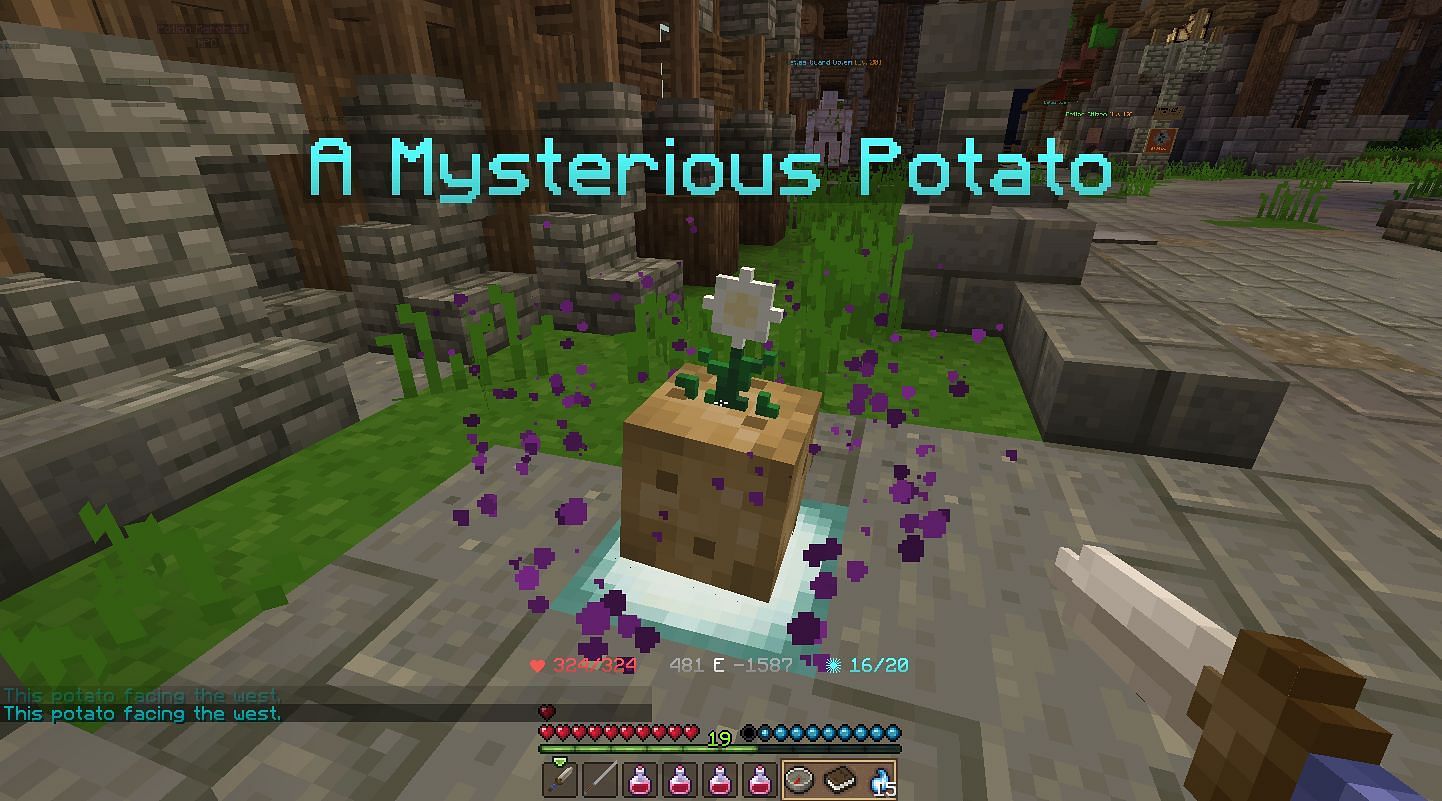 Wynncraft has a bunch of custom roleplaying content to it (Image via Mojang)