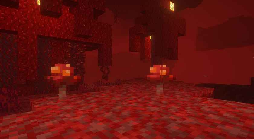 Fungus in Minecraft: Both the types, generation, usage and more