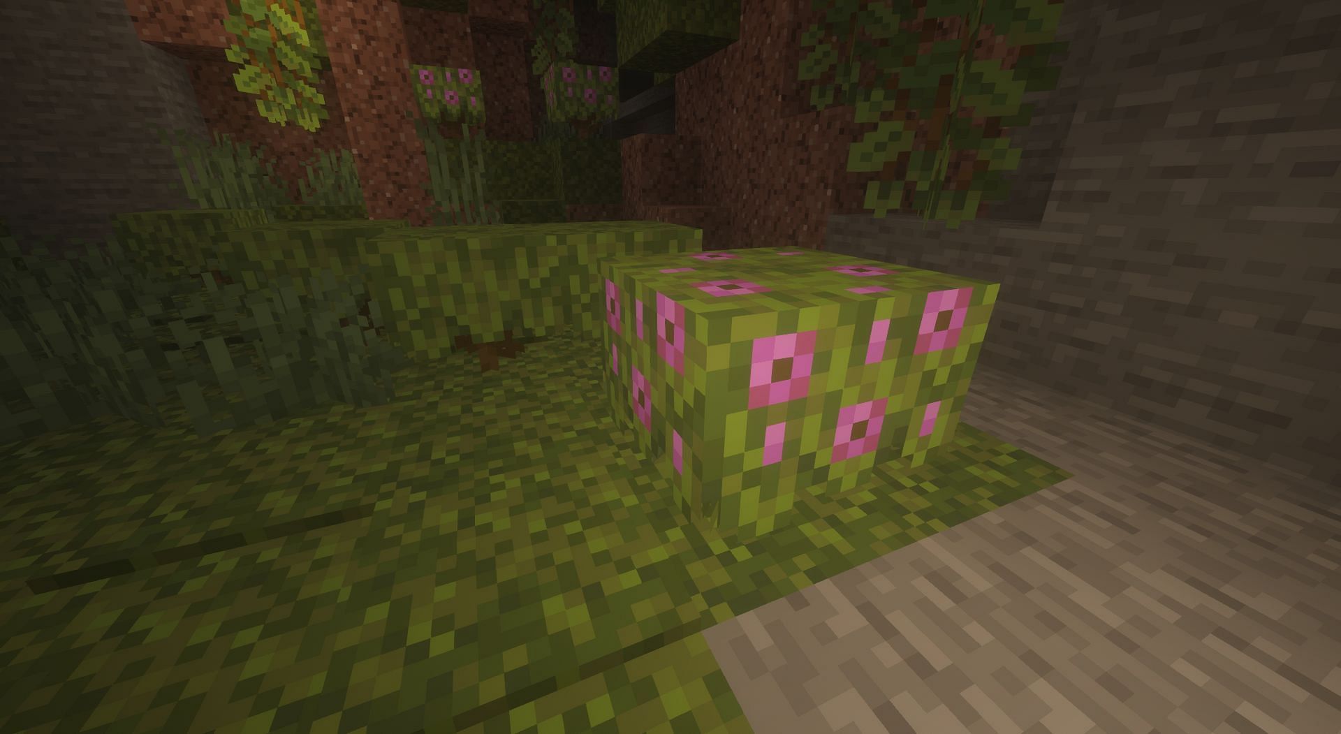 Flowering Azalea bushes (Image via Minecraft)