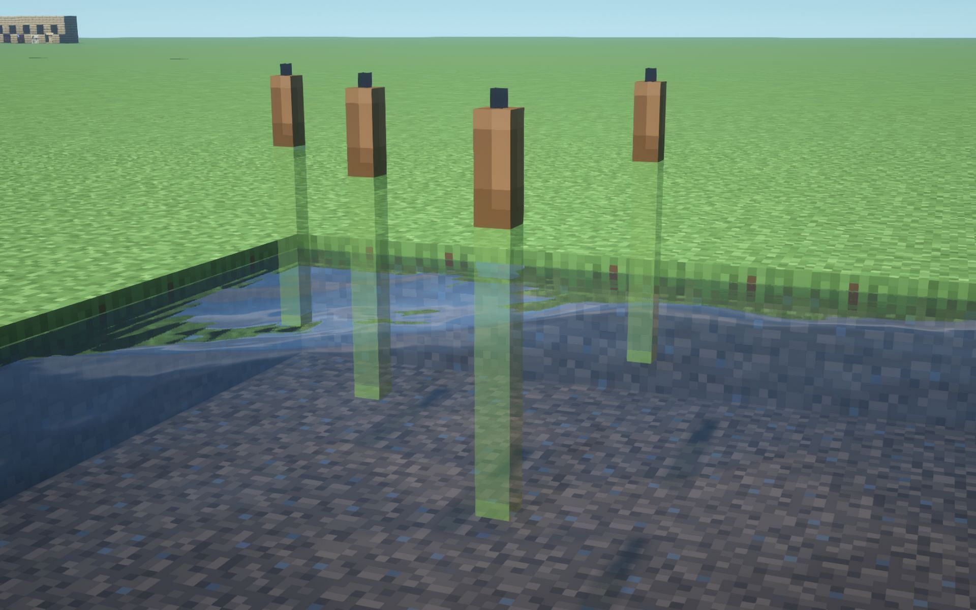 Cattails created in the game (Image via Minecraft)