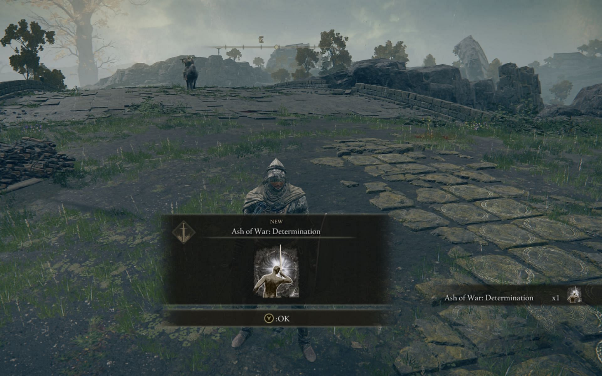 Ashes offer new skills to try out (Image via FromSoftware)