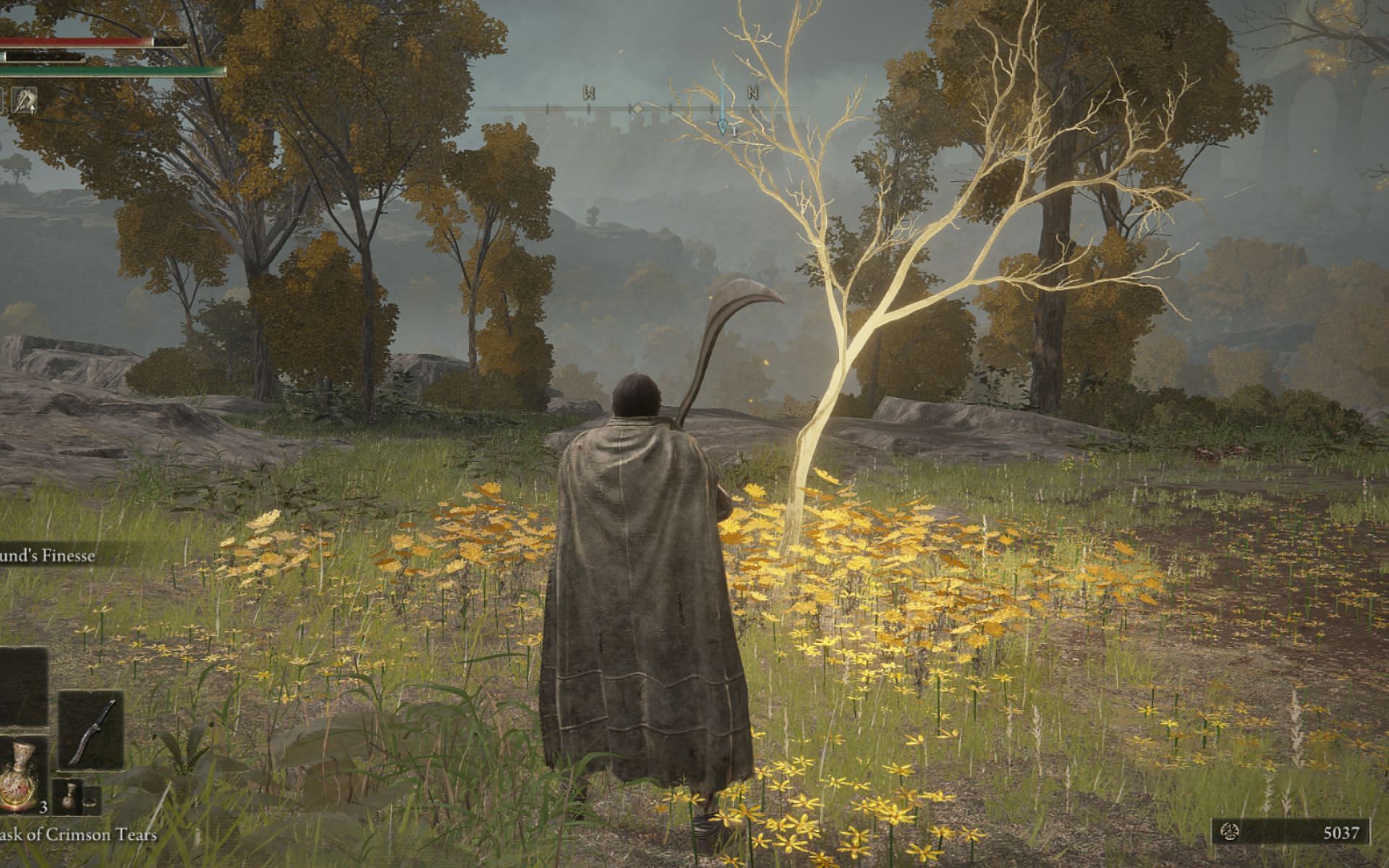 Elden Ring flask upgrade locations: Where to find Golden Seeds and Sacred  Tears in Elden Ring