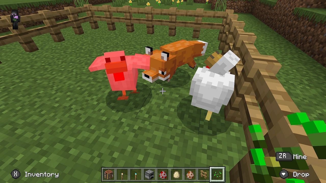 Players should be careful to protect their chicken farm from fox attacks. Image via Minecraft.