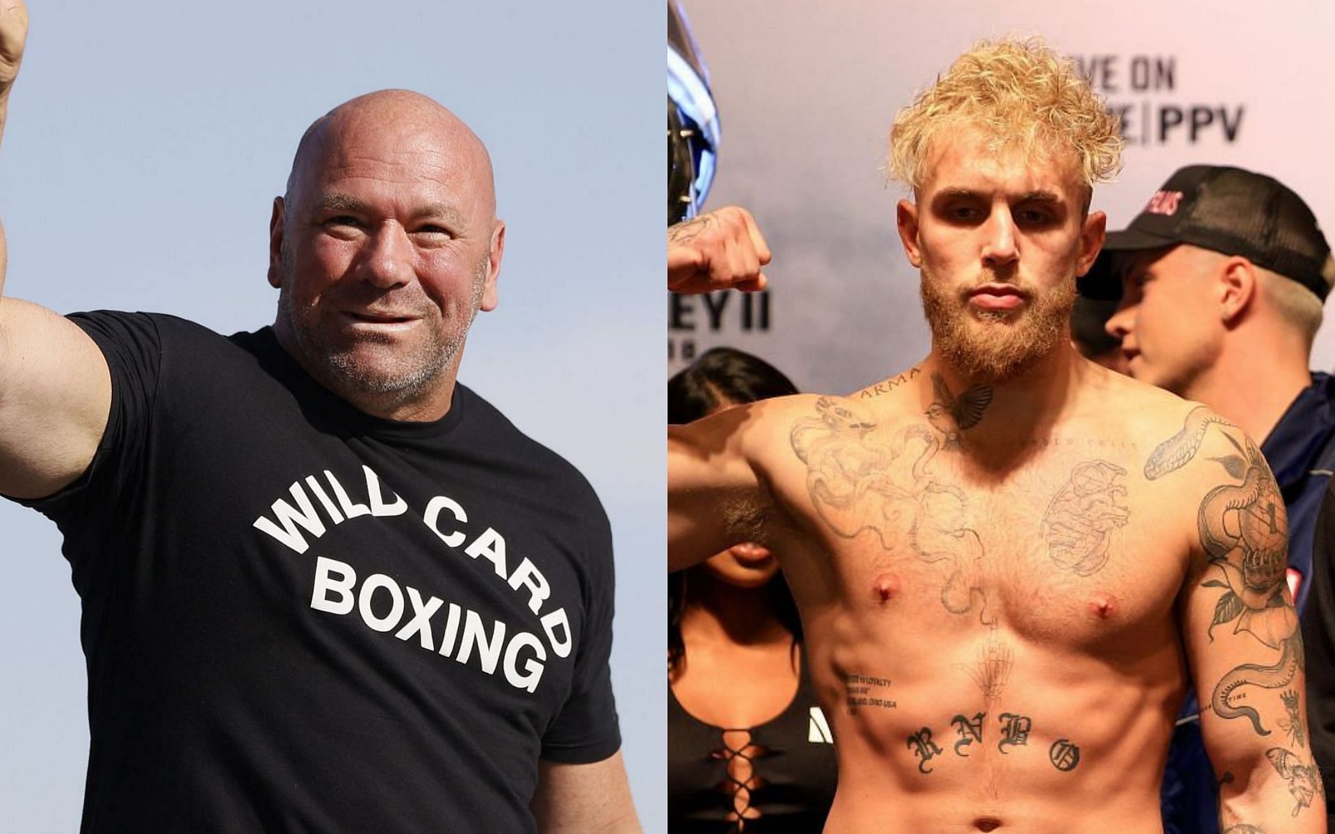 Jake Paul explains why he made a diss track about Dana White