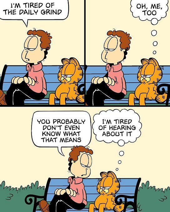 Garfield's owner and his ability to understand the cat