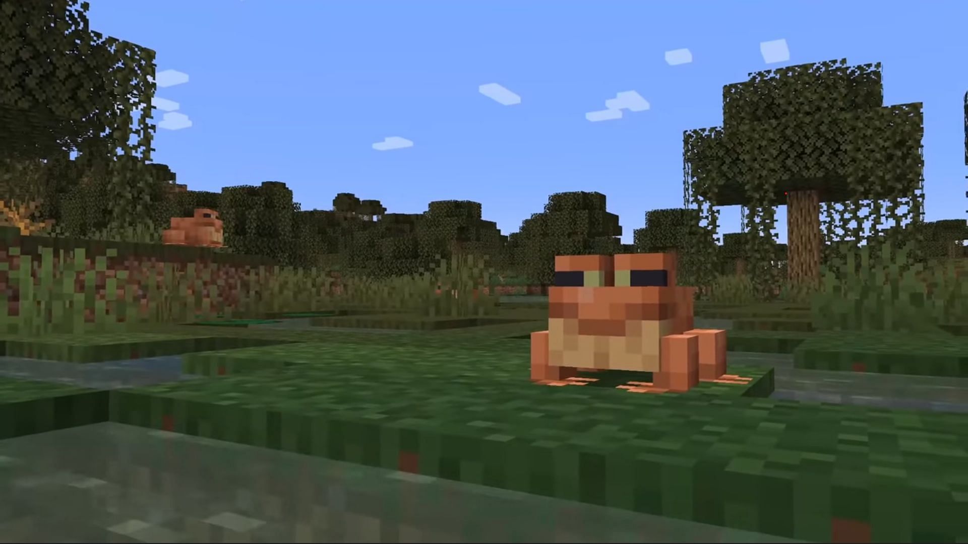 Frogs in the new biome (Image via Mojang)