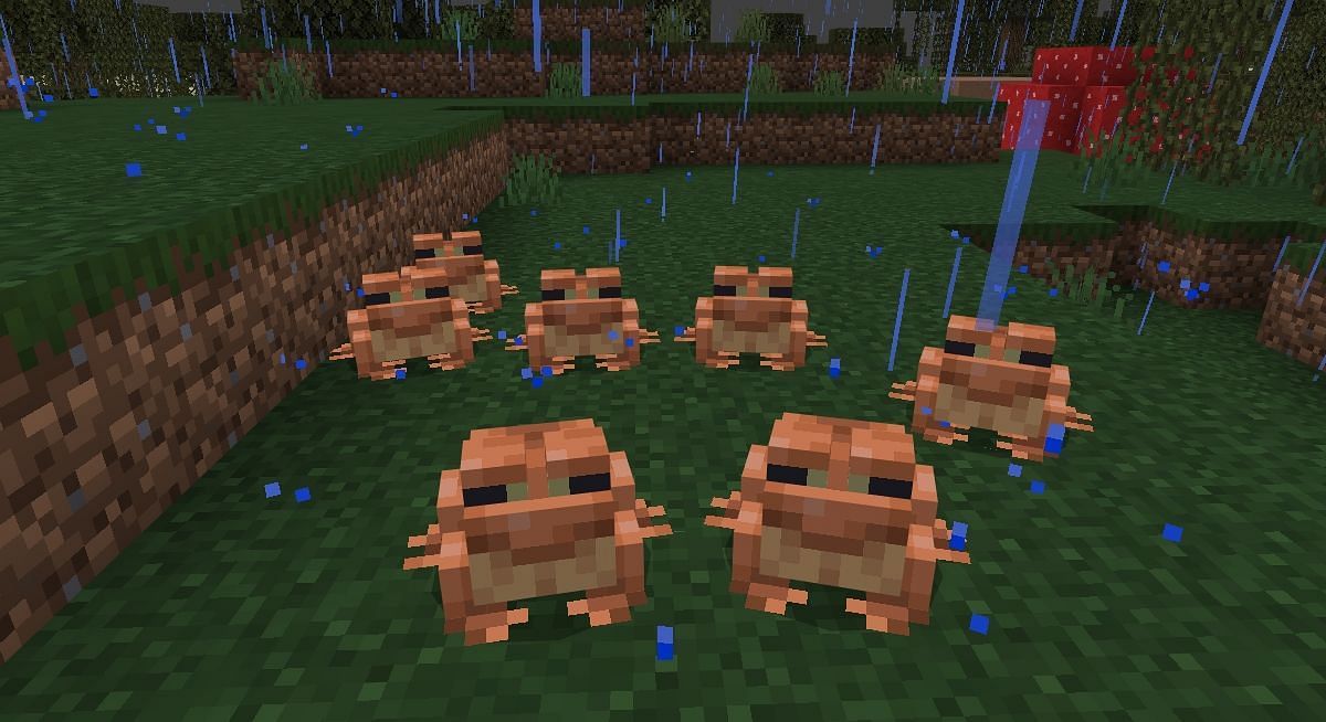 They can be lured in with the help of seagrass (Image via Mojang)